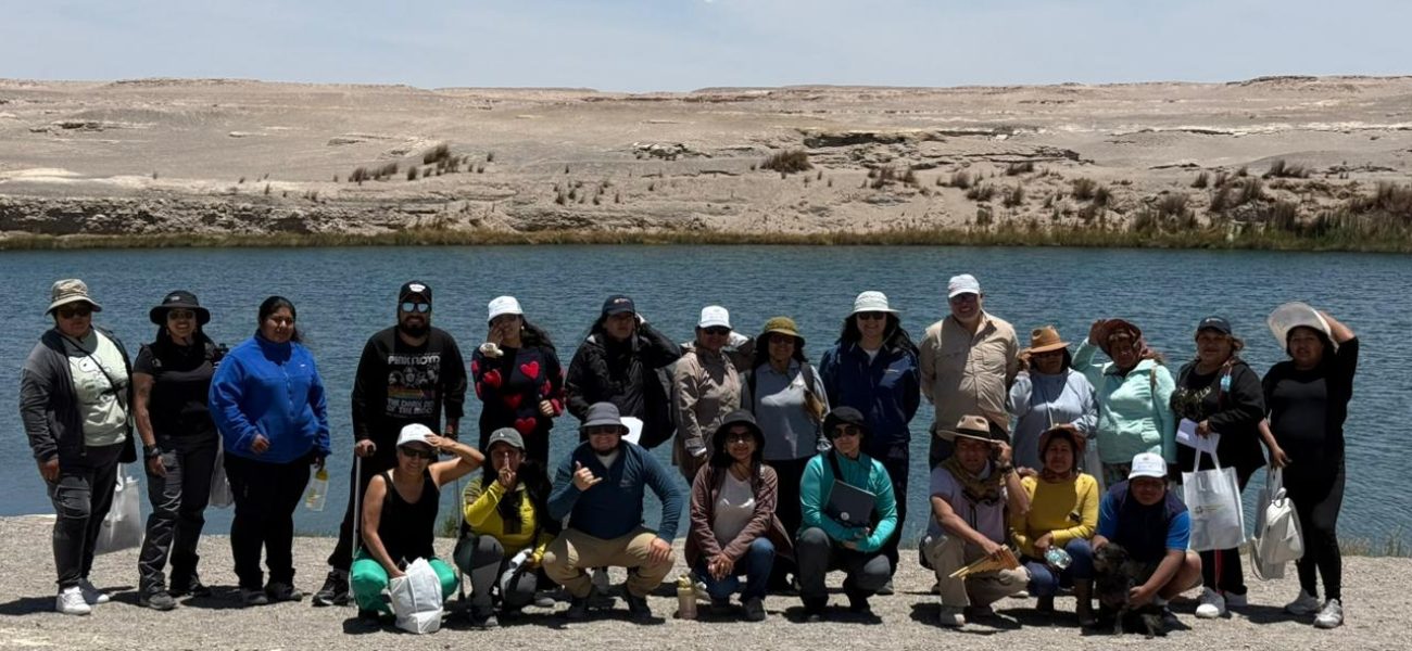 d432d5b5-79e9-4475-b7e1-0f701c49e096