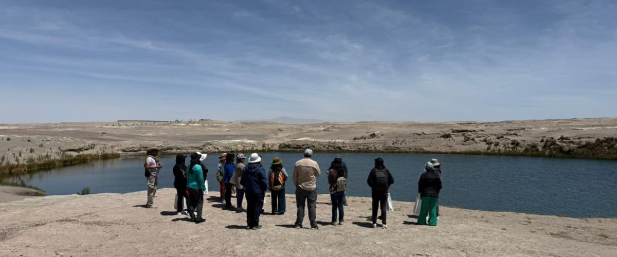 e8648e2f-45d0-41a7-a41e-da5b6452986f